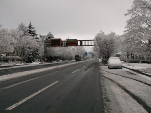 DSCF1303